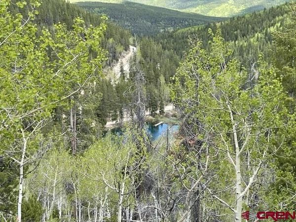 1675 Chicago Park Road, Pitkin, CO 81241