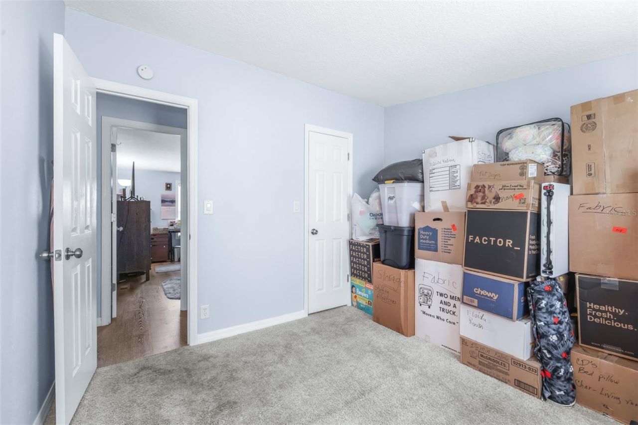 3041 Short Leaf Street , Wesley Chapel, FL 33543 Photo