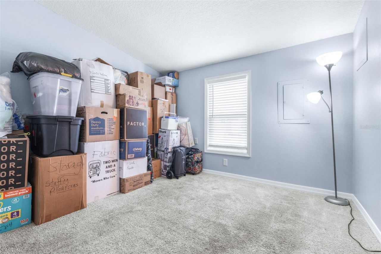 3041 Short Leaf Street , Wesley Chapel, FL 33543 Photo