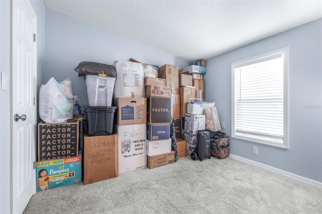 3041 Short Leaf Street , Wesley Chapel, FL 33543 Photo