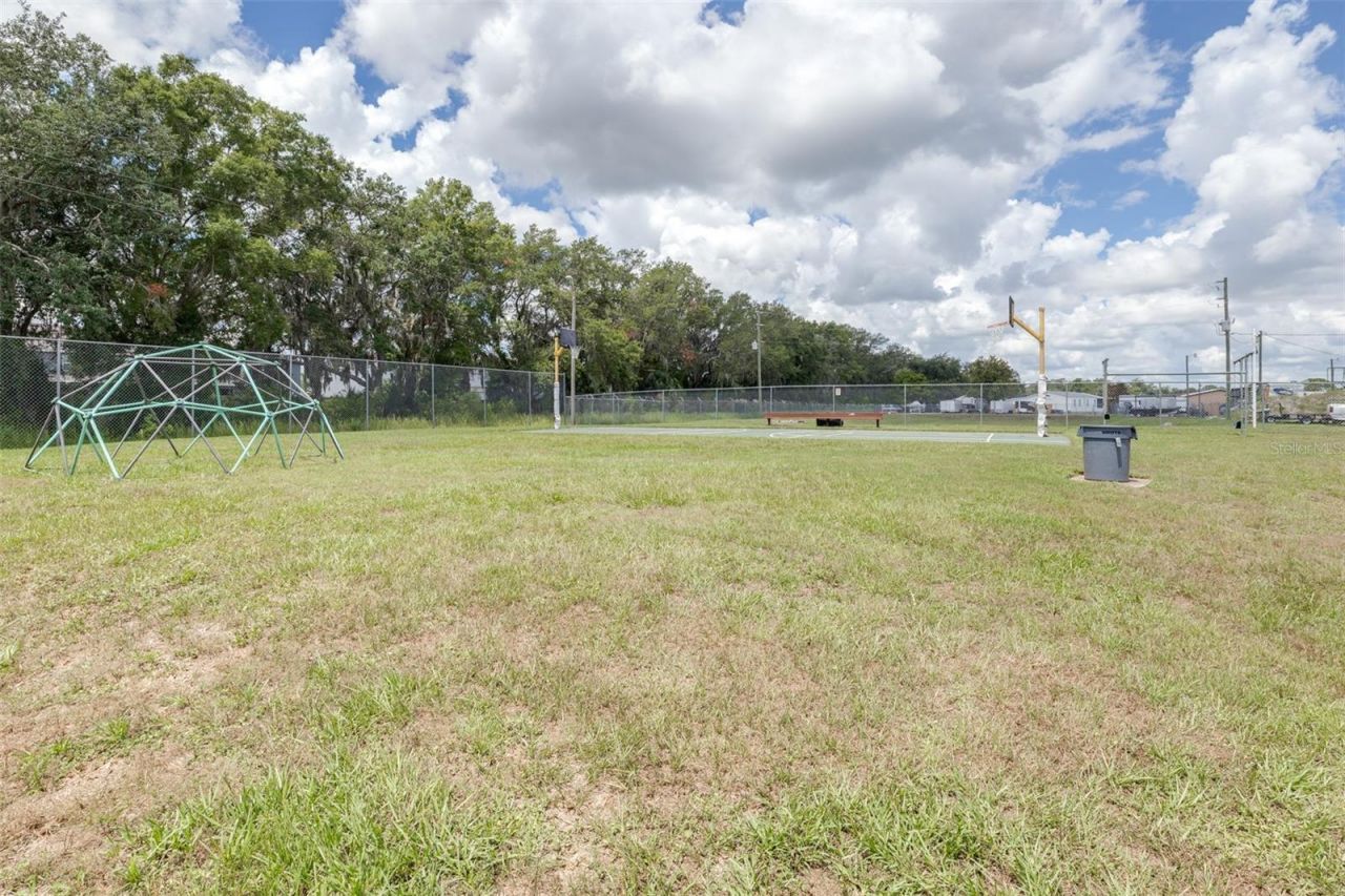 3041 Short Leaf Street , Wesley Chapel, FL 33543 Photo