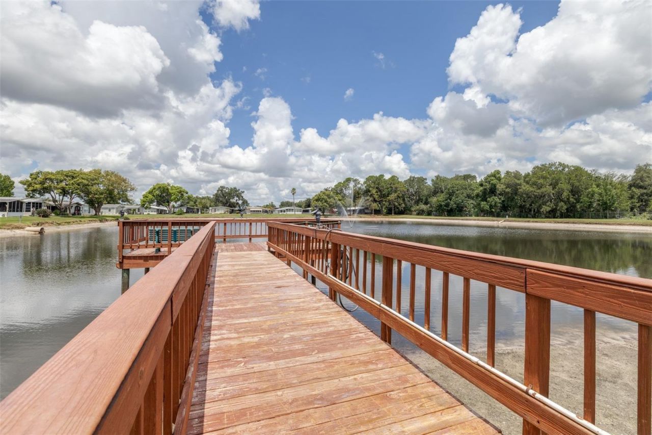 3041 Short Leaf Street , Wesley Chapel, FL 33543 Photo