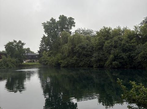 Main Photo