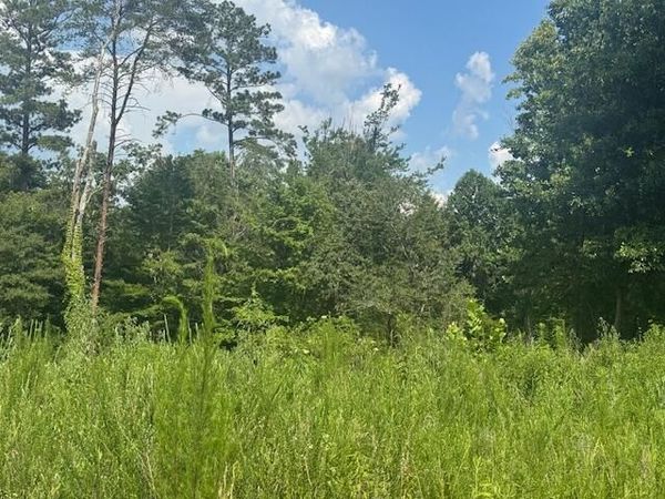 310 Windsong Drive, LaFayette, GA 30728