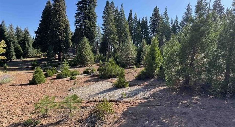 998 Marina Drive, Lake Almanor, CA 96137 Photo