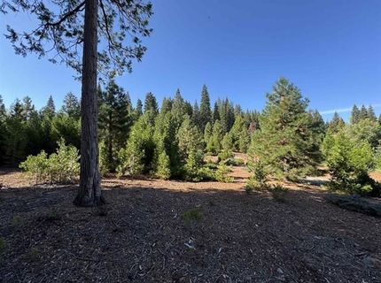 998 Marina Drive, Lake Almanor, CA 96137 Photo