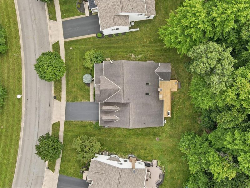 4403 Wooded Nook Drive, New Albany, OH 43054 Photo 3