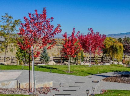 285 Sierra Country Circle, Gardnerville, NV 89460 Photo