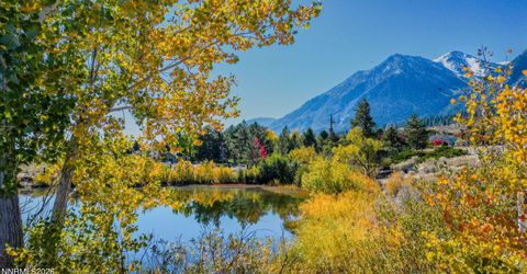 285 Sierra Country Circle, Gardnerville, NV 89460 Photo