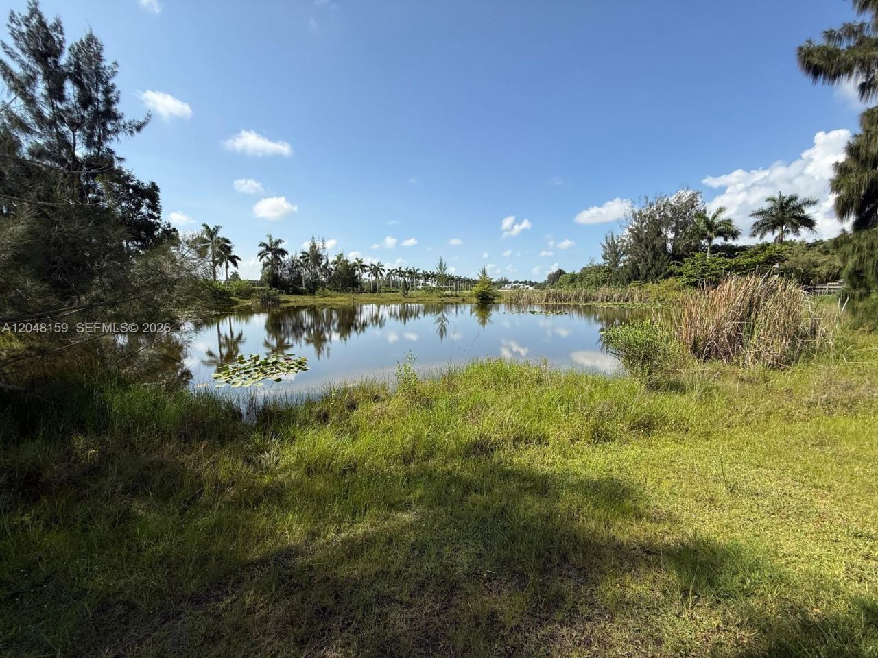 18500 Griffin Rd , Southwest Ranches, FL 33332 Photo