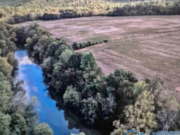 Lot 29 County Road 336, Piedmont, AL 36272