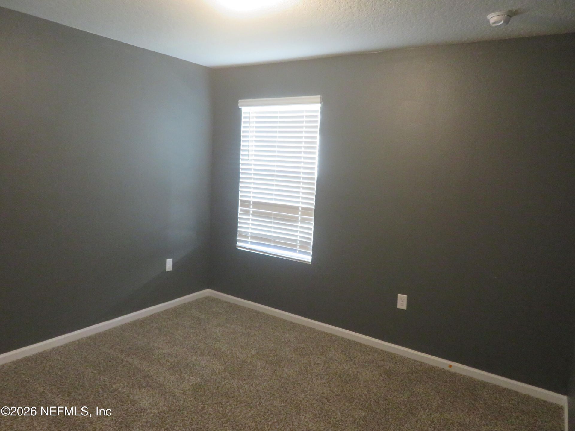 2568 Oak Stream Drive, Green Cove Springs, FL 32043 Photo