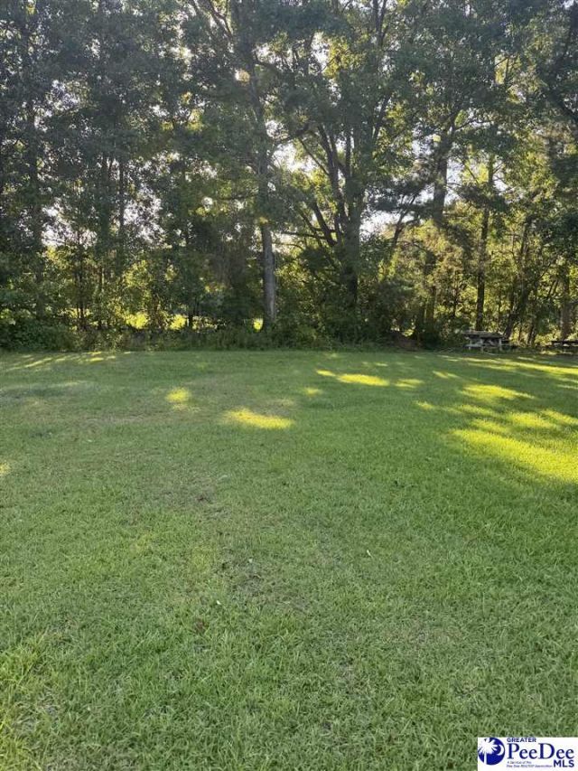 810 Twin Oaks Circle Photo 17