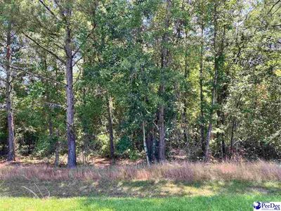 Lot 19 Ora Lane, Chesterfield, SC 29709