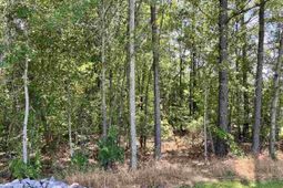 Lot 19 Ora Lane photo 4