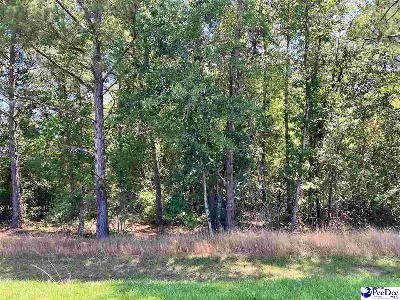 Lot 19 Ora Lane Photo 4