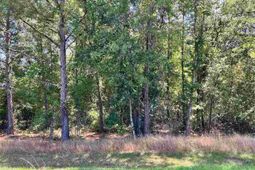 Lot 19 Ora Lane photo 4