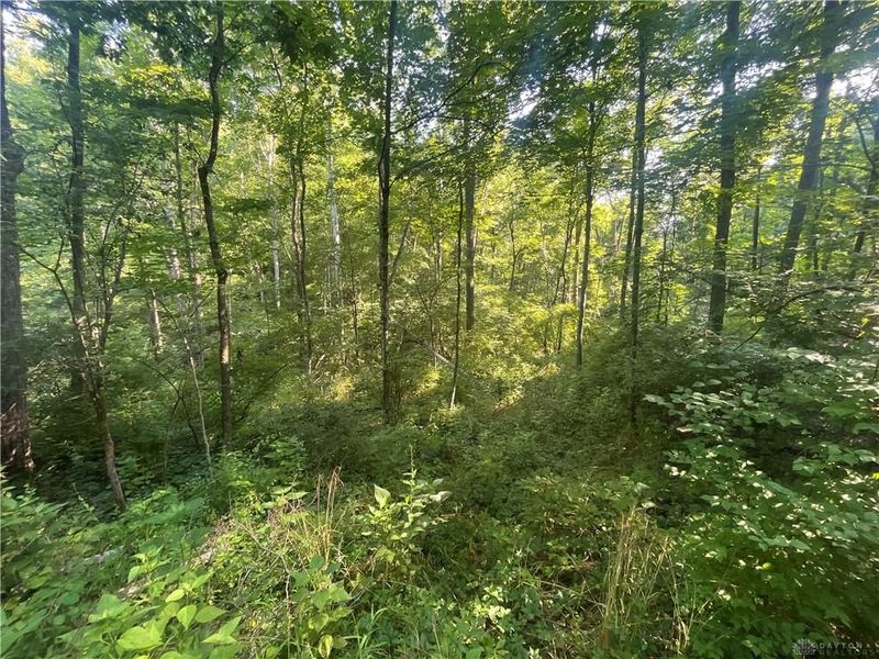 0 Stephen Young Rd., Camden, OH 45311 Photo 10