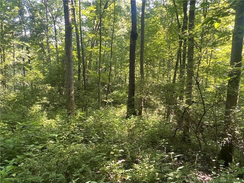 0 Stephen Young Rd., Camden, OH 45311 Photo 14