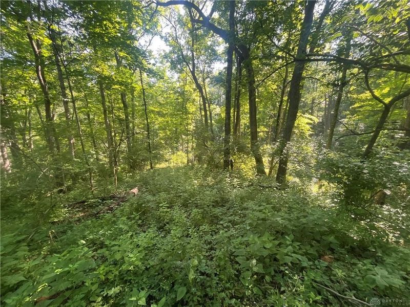 0 Stephen Young Rd., Camden, OH 45311 Photo 15