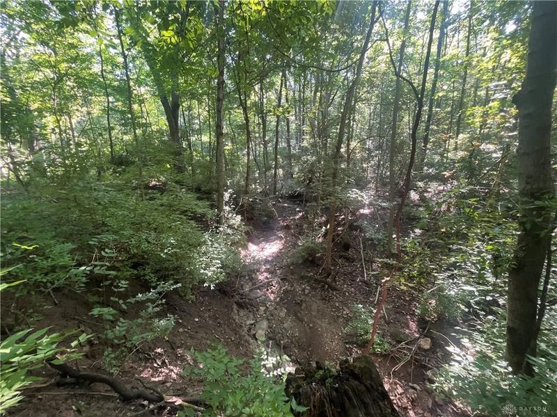 0 Stephen Young Rd., Camden, OH 45311 Photo 16