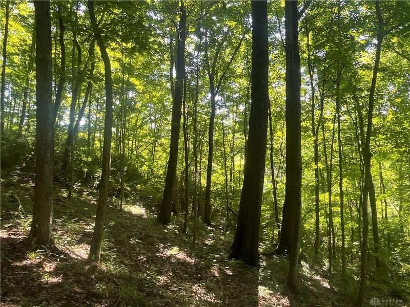 0 Stephen Young Rd., Camden, OH 45311 Photo 18
