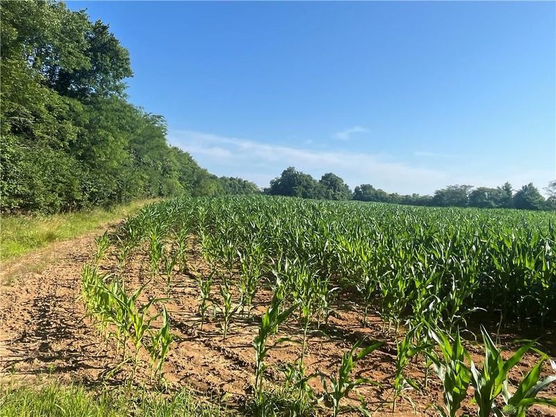 0 Stephen Young Rd., Camden, OH 45311 Photo 3