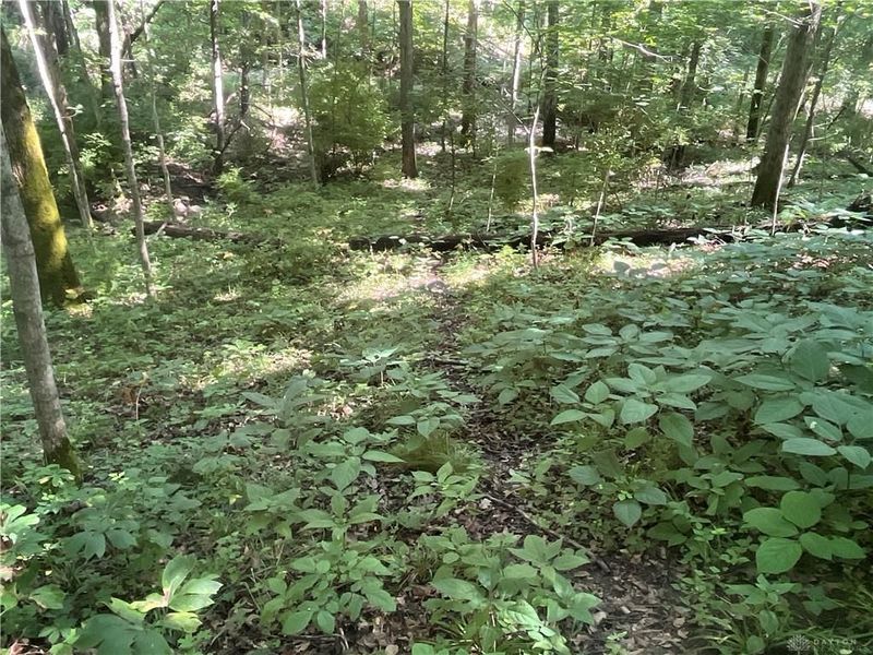 0 Stephen Young Rd., Camden, OH 45311 Photo 30