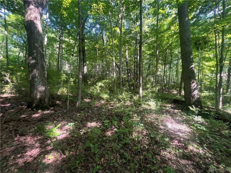 0 Stephen Young Rd., Camden, OH 45311 Photo 32