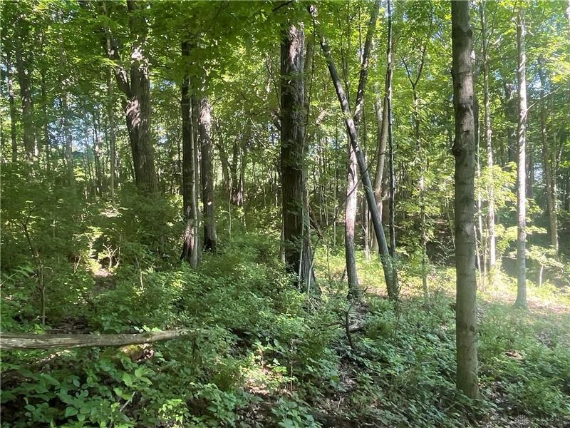 0 Stephen Young Rd., Camden, OH 45311 Photo 33