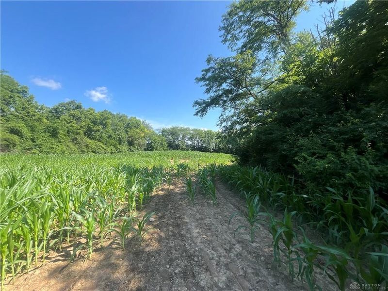 0 Stephen Young Rd., Camden, OH 45311 Photo 35