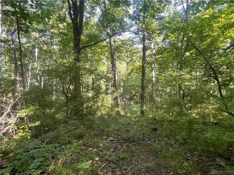 0 Stephen Young Rd., Camden, OH 45311 Photo 39