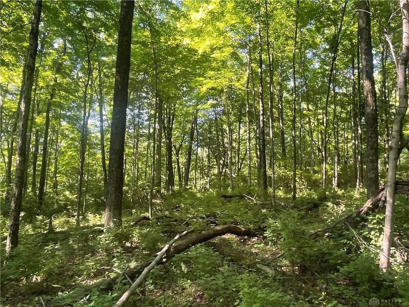 0 Stephen Young Rd., Camden, OH 45311 Photo 41