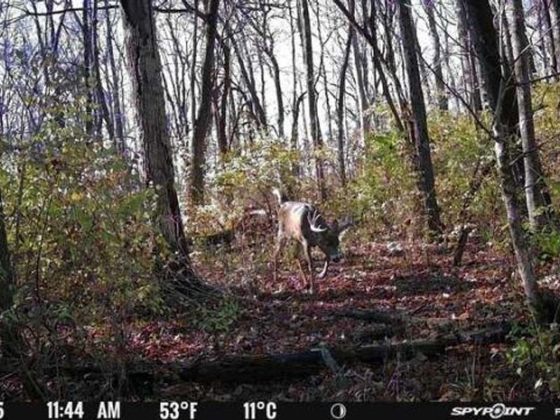 0 Stephen Young Rd., Camden, OH 45311 Photo 55