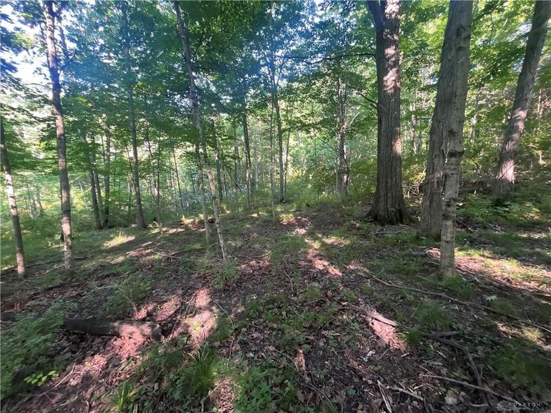 0 Stephen Young Rd., Camden, OH 45311 Photo 7