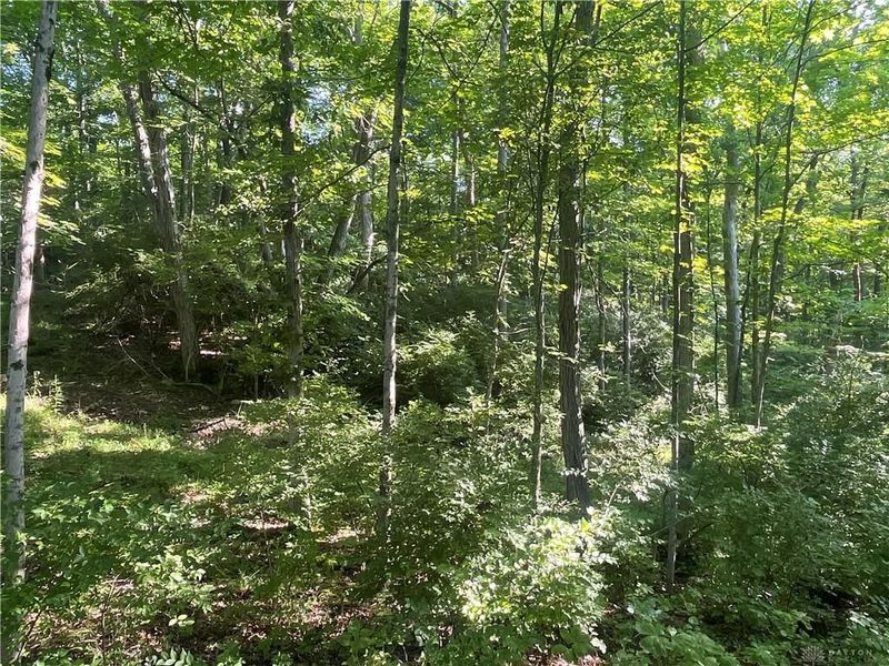 0 Stephen Young Rd., Camden, OH 45311 Photo 8