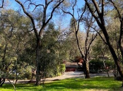 681 Foresthill Ave, Auburn, CA 95603 Photo