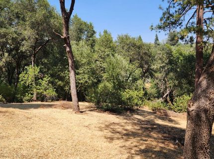 681 Foresthill Ave, Auburn, CA 95603 Photo