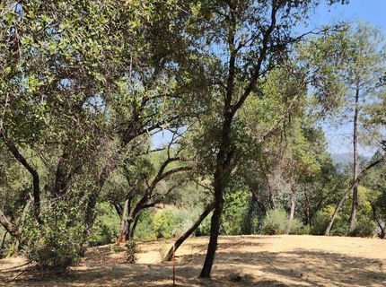 681 Foresthill Ave, Auburn, CA 95603 Photo