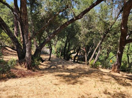 681 Foresthill Ave, Auburn, CA 95603 Photo