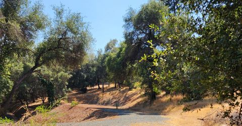 681 Foresthill Ave, Auburn, CA 95603 Photo