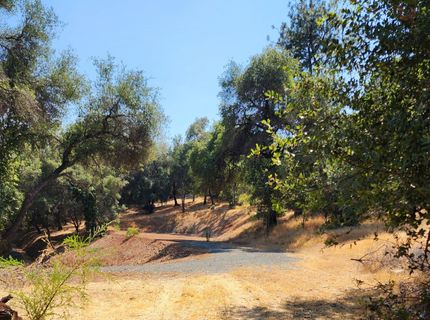 681 Foresthill Ave, Auburn, CA 95603 Photo