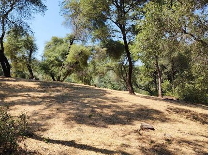 681 Foresthill Ave, Auburn, CA 95603 Photo