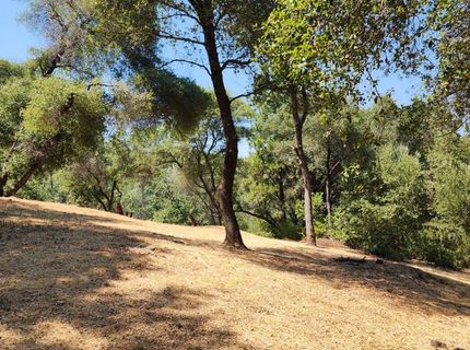 681 Foresthill Ave, Auburn, CA 95603 Photo
