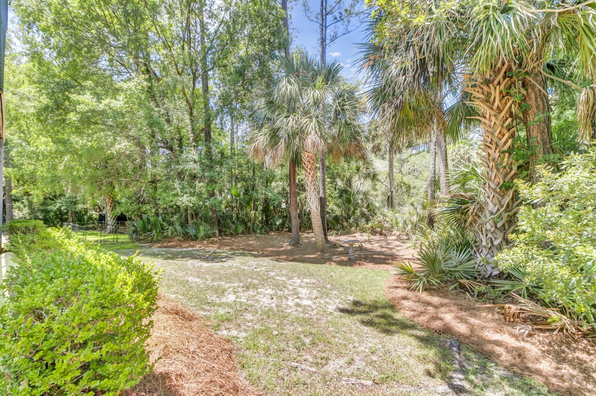 3108 Sonja Way Photo 39