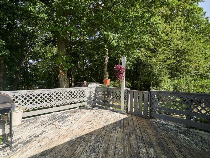 266 Jasper Lane, Medina, OH 44256 Photo 21