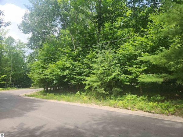 Birch View Trail, Lake Ann, MI 00000