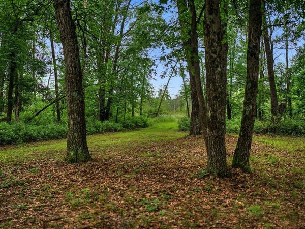 20 Acres Badger Avenue, Nekoosa, WI 54457