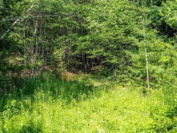 Lot 4.2 Tommy Lot Road, Moultonborough, NH 03254