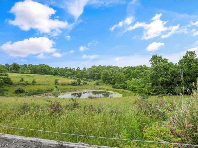 4000 Dillon Hills Drive, Nashport, OH 43830 Photo 50